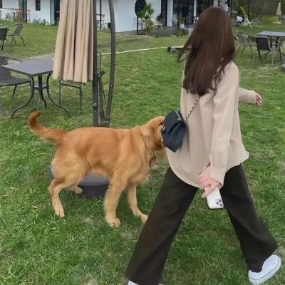 爱之伤痕