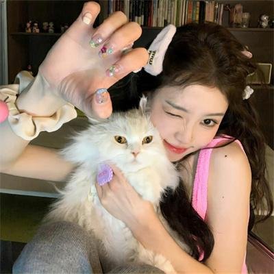 猛龙征东
